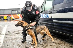 Django i Lila - policyjne psy szkoliły się w służbie